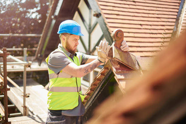 Best Roof Gutter Cleaning  in Harlowton, MT